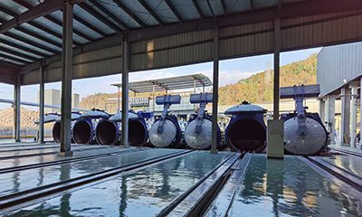 Industrial Steam Autoclave